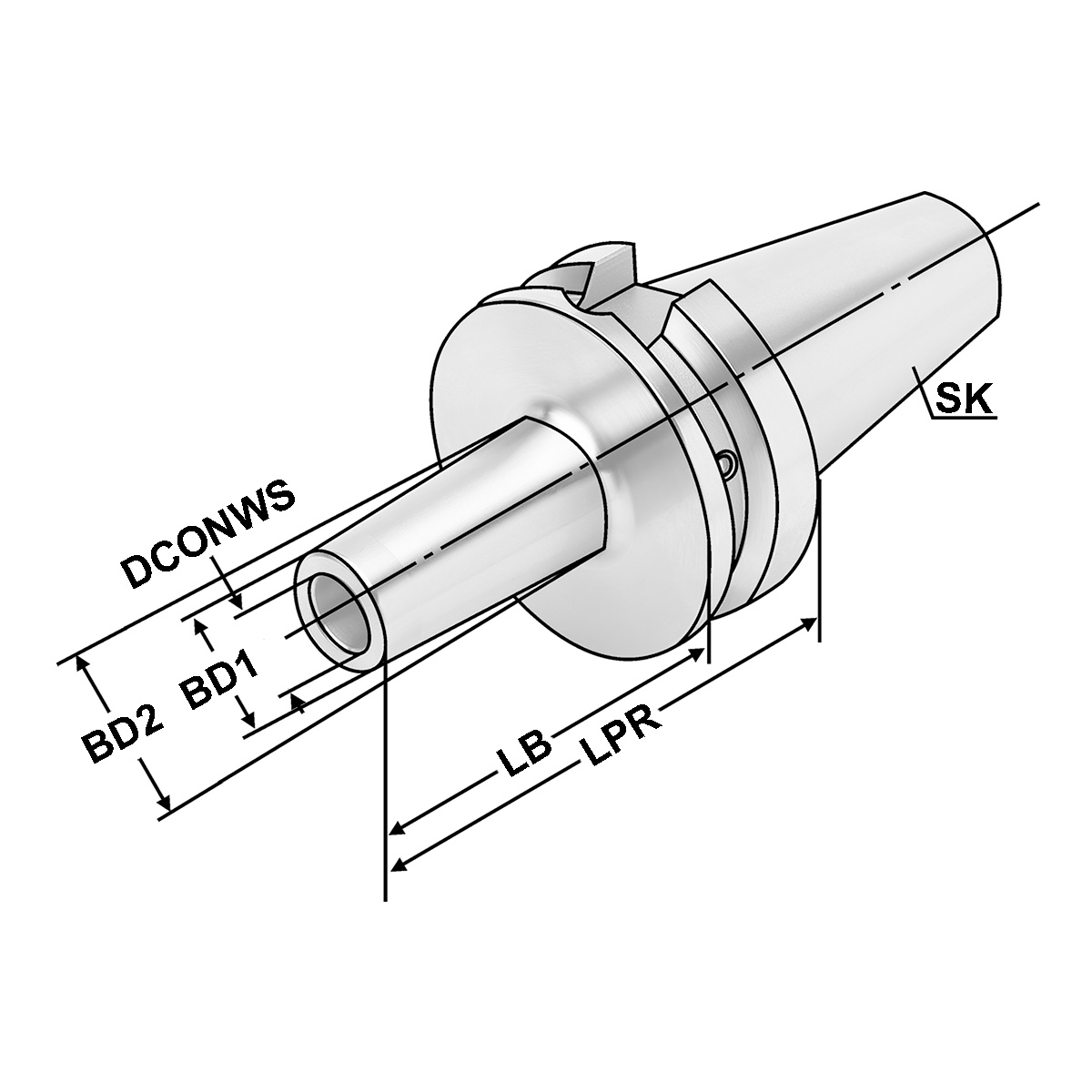 Technische Zeichnung Fräsaufnahme für Einschraubfräser BT40-M12-52-L25 von Kemmler